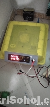 Hhd 56 egg incubator